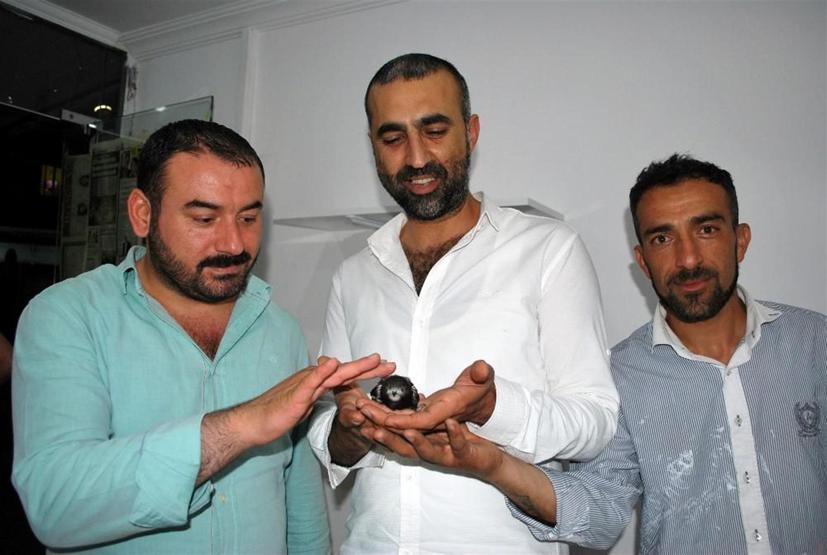 Gizemli kuş ebabilin yavrusu Manisada bulundu