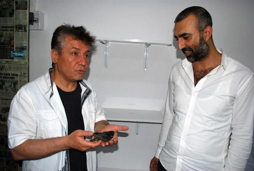 Gizemli kuş ebabilin yavrusu Manisada bulundu