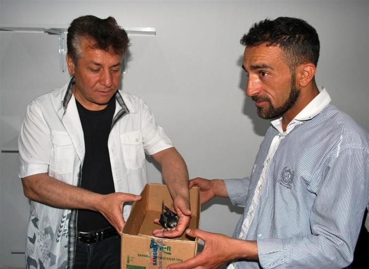 Gizemli kuş ebabilin yavrusu Manisada bulundu