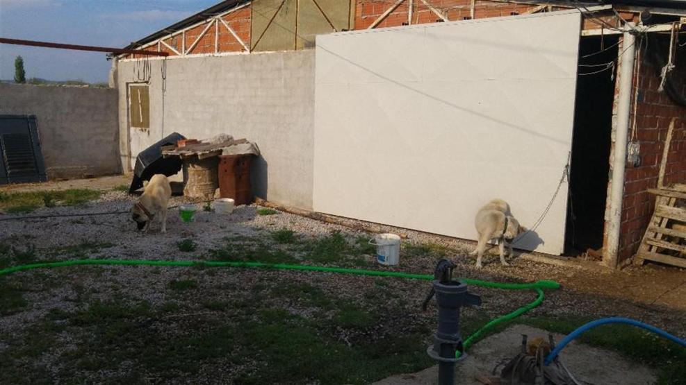 Koyunları çalınan çiftçi hırsızlara seslendi