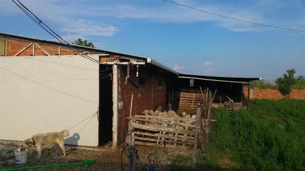Koyunları çalınan çiftçi hırsızlara seslendi