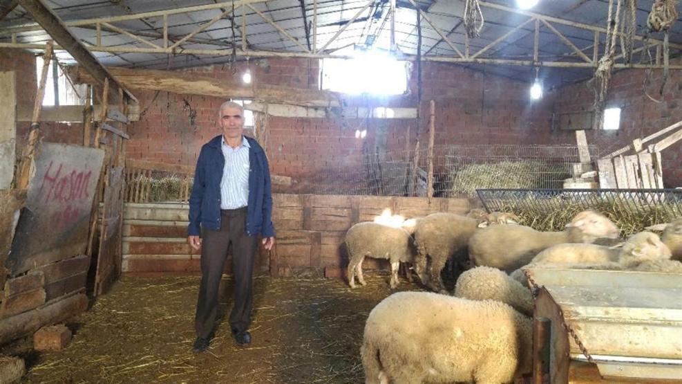 Koyunları çalınan çiftçi hırsızlara seslendi