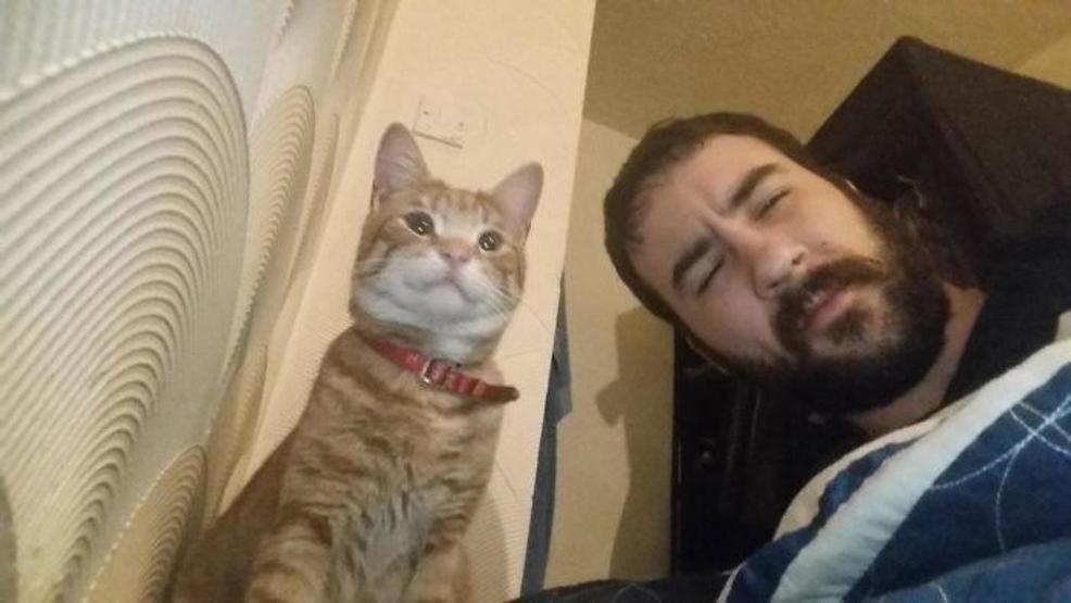 Sosyal medyada yeni akım: Benim kedim yok ki