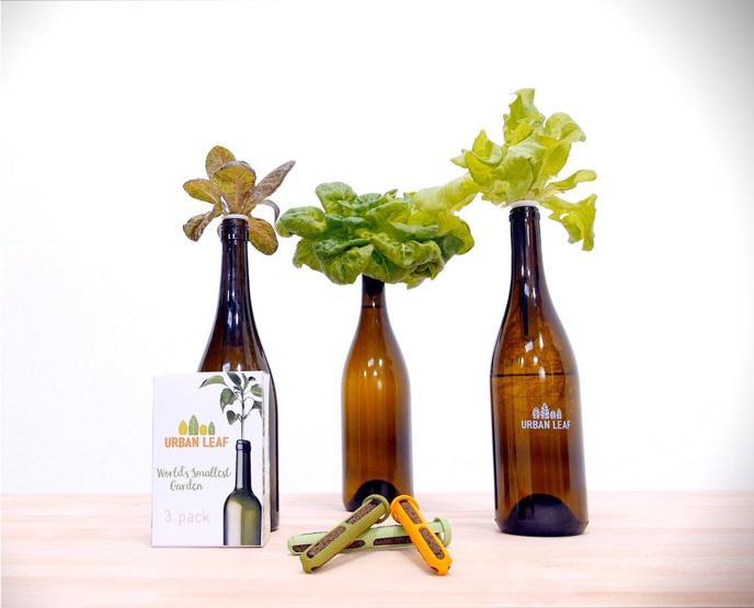 Eski şişelerinizi bahçeye dönüştürün