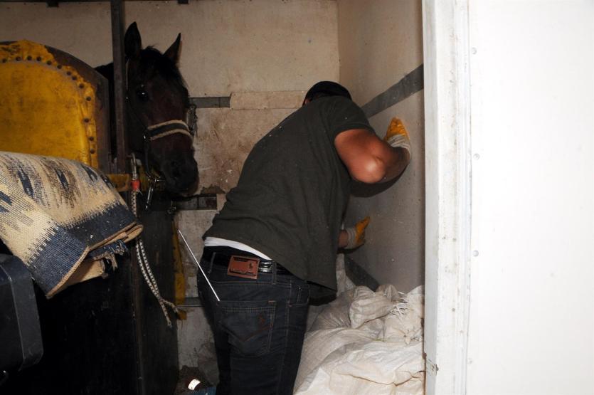 Yarış atı taşıyan kamyonetten 10 kilo uyuşturucu çıktı