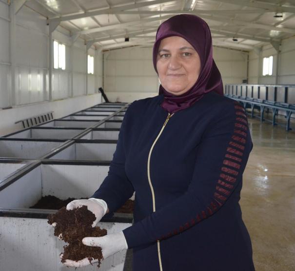 Solucan gübresi ile 620 bin lira borcunu ödedi