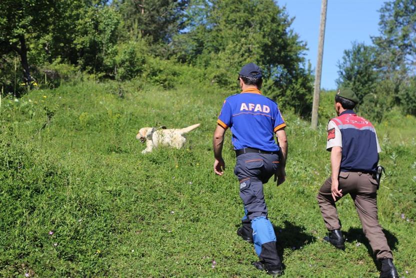 Kastamonuda bütün ekipler dağ çileği toplarken kaybolan yaşlı kadını arıyor