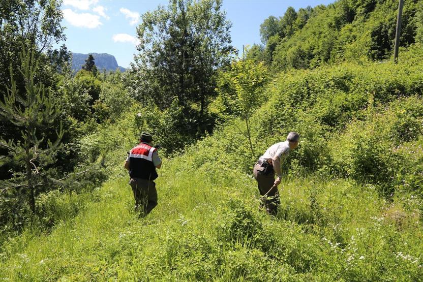 Kastamonuda bütün ekipler dağ çileği toplarken kaybolan yaşlı kadını arıyor
