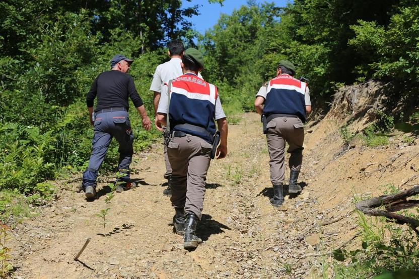Kastamonuda bütün ekipler dağ çileği toplarken kaybolan yaşlı kadını arıyor