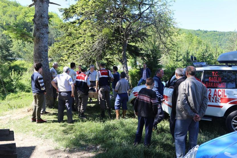 Kastamonuda bütün ekipler dağ çileği toplarken kaybolan yaşlı kadını arıyor