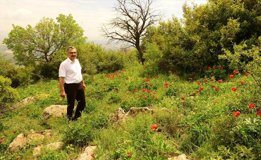 Bu çiçeği koparmanın cezası 42 bin lira