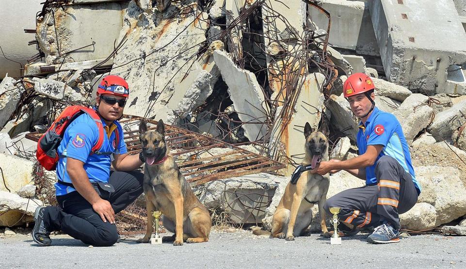 Arama yarışmasının birincisi sevimli köpek Hera oldu