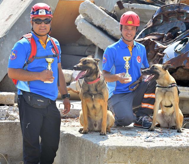 Arama yarışmasının birincisi sevimli köpek Hera oldu