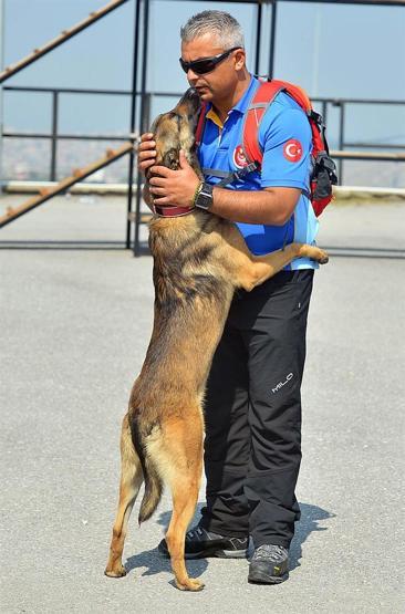 Arama yarışmasının birincisi sevimli köpek Hera oldu