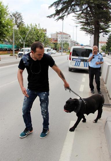 Gezdirdiği köpeği pitbull sandılar kenti ayağa kaldırdılar