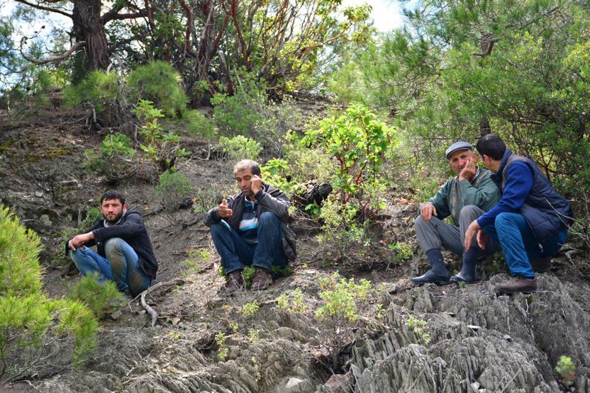 Keçi otlatırken kaybolan Handandan acı haber