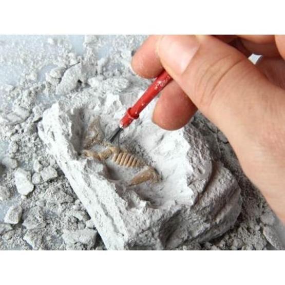 Tuncelide 1 milyon öncesine ait yaşam bulguları ortaya çıktı