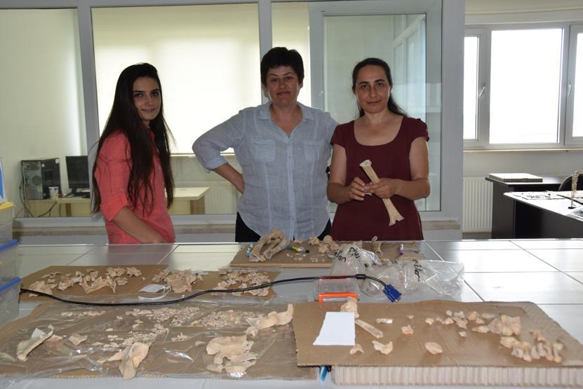 Tuncelide 1 milyon öncesine ait yaşam bulguları ortaya çıktı