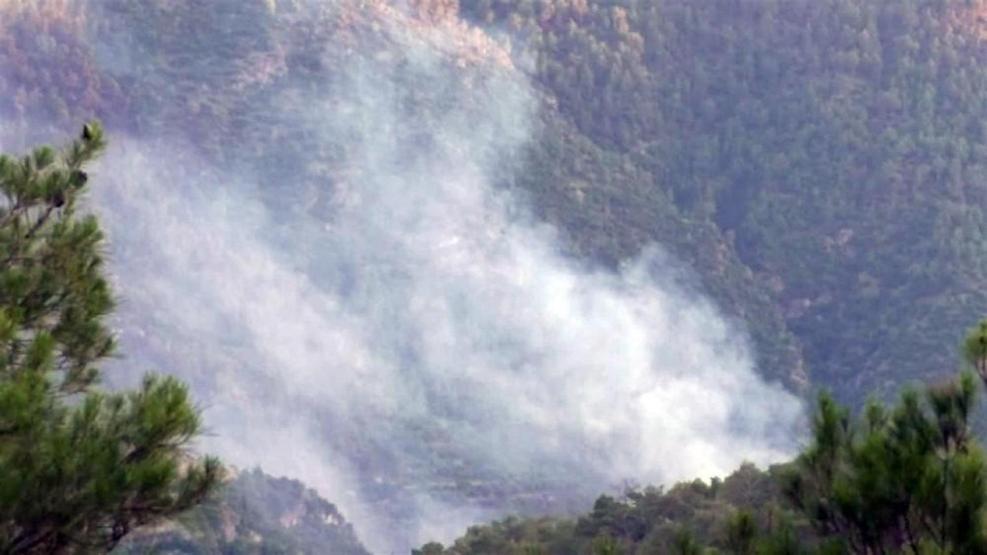 Denizlide korkutan yangın kontrol altına alındı