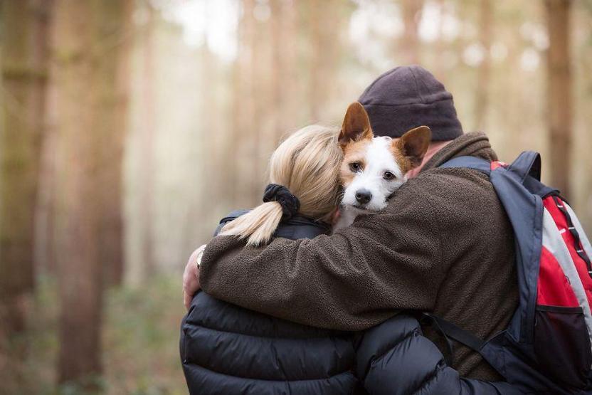 İşte 2017nin en güzel köpek fotoğrafları