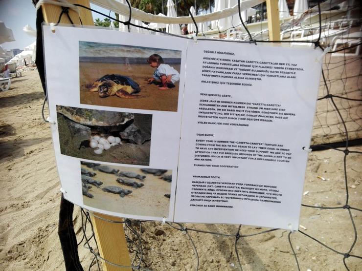 Turistler uyardı, çitle korumaya alındı
