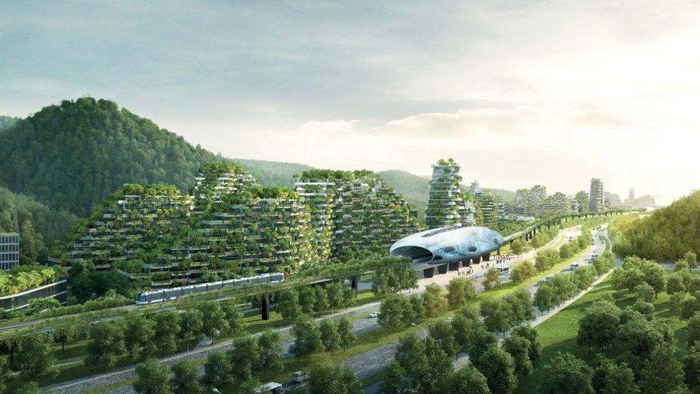 Çinde 40 bin ağaçla ormandan şehir yapıyorlar