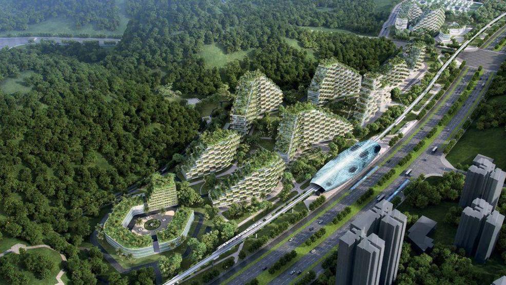 Çinde 40 bin ağaçla ormandan şehir yapıyorlar
