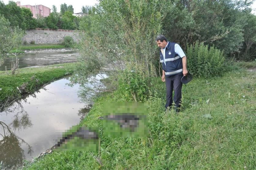 Kesik at başları dere kenarında bulundu