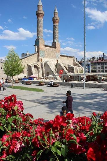 Sivas gül bahçesine döndü