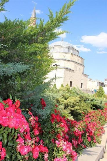 Sivas gül bahçesine döndü