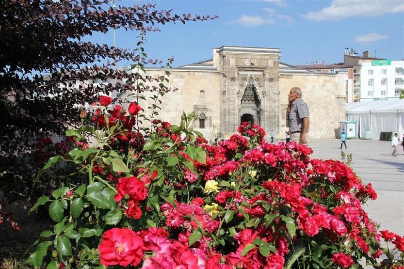 Sivas gül bahçesine döndü