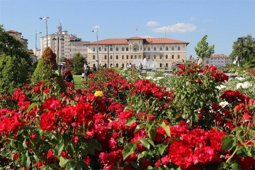 Sivas gül bahçesine döndü