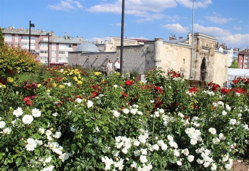 Sivas gül bahçesine döndü