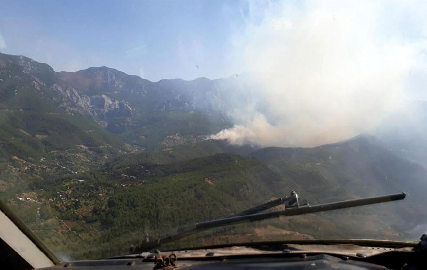 Alanya 40 dereceyi buldu, orman yangını çıktı