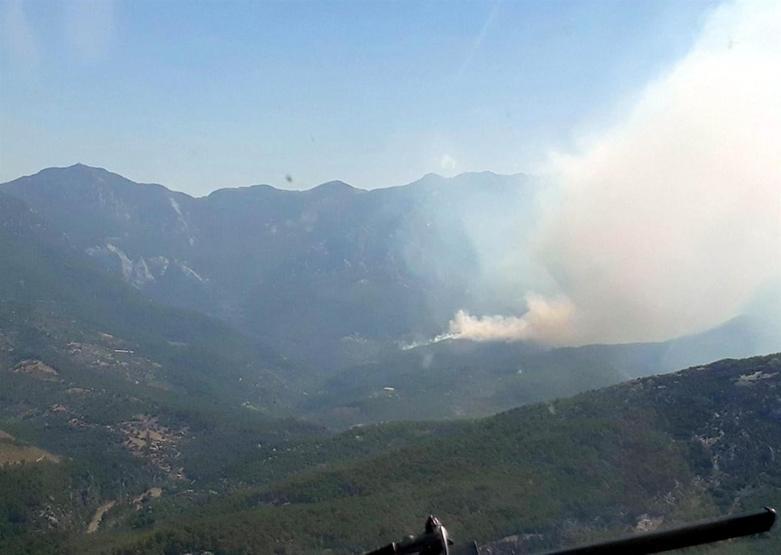 Alanya 40 dereceyi buldu, orman yangını çıktı