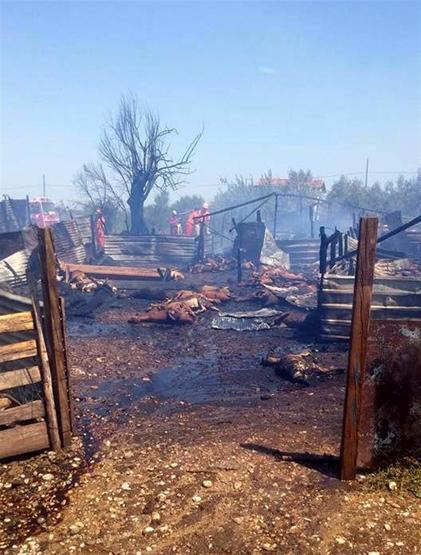 Manavgattaki yangında 550 küçükbaş, 4 büyükbaş hayvan öldü