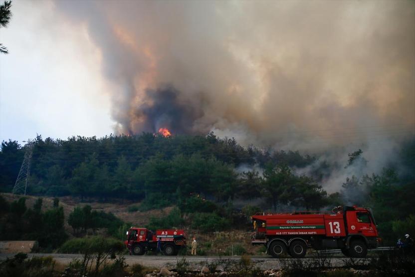 İzmirde orman yangını