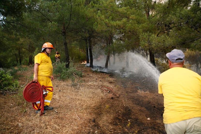 İzmirde orman yangını