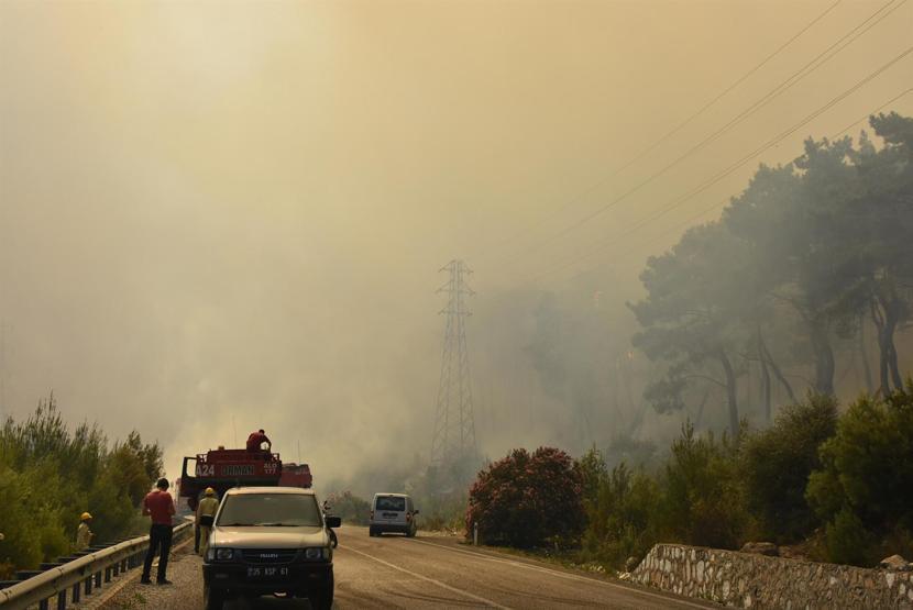 İzmirde orman yangını