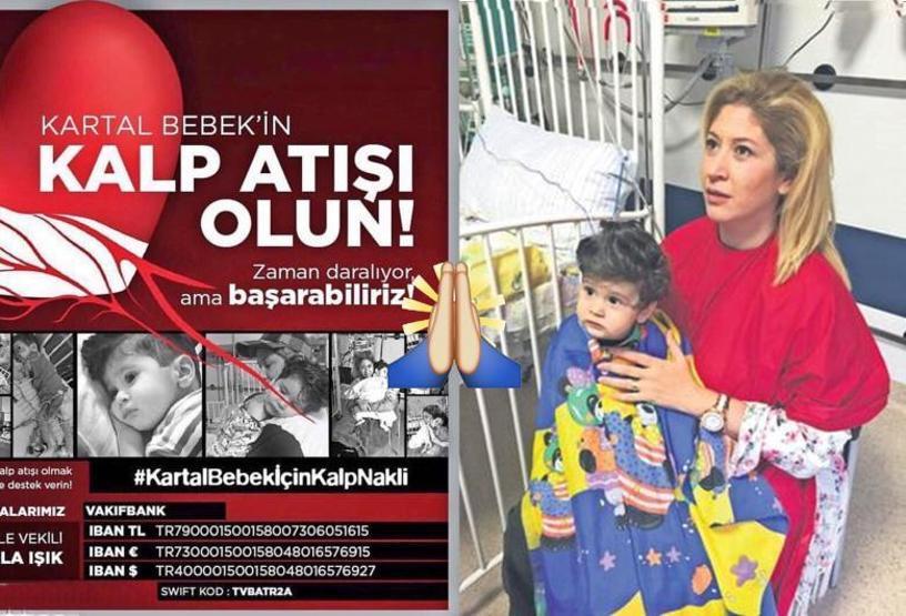 Kartal bebekten beklenen müjdeli haber geldi