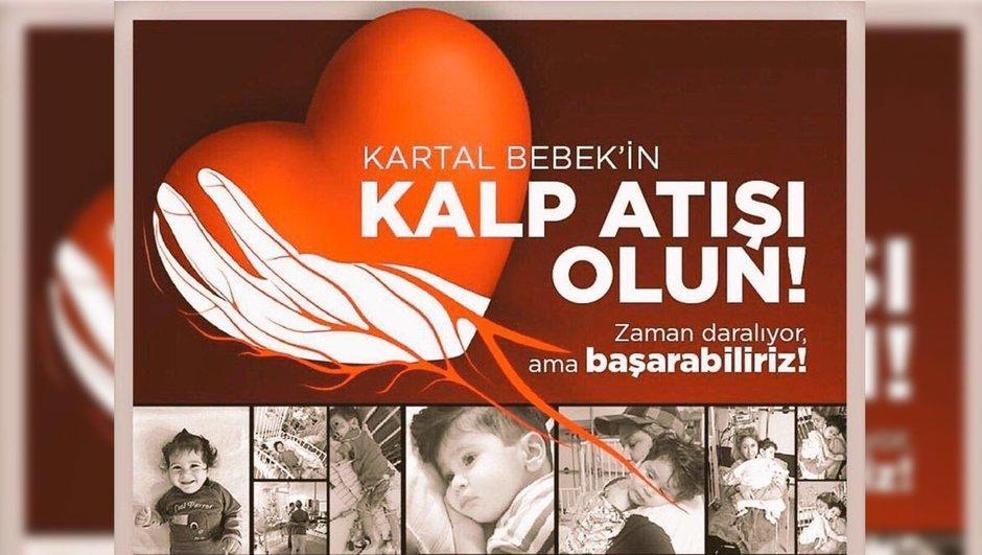 Kartal bebekten beklenen müjdeli haber geldi
