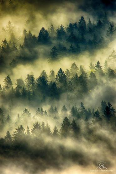 Güneşin bir başka vurduğu yer: Slovenya