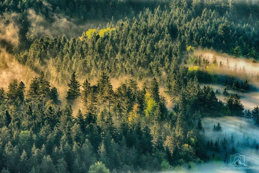 Güneşin bir başka vurduğu yer: Slovenya
