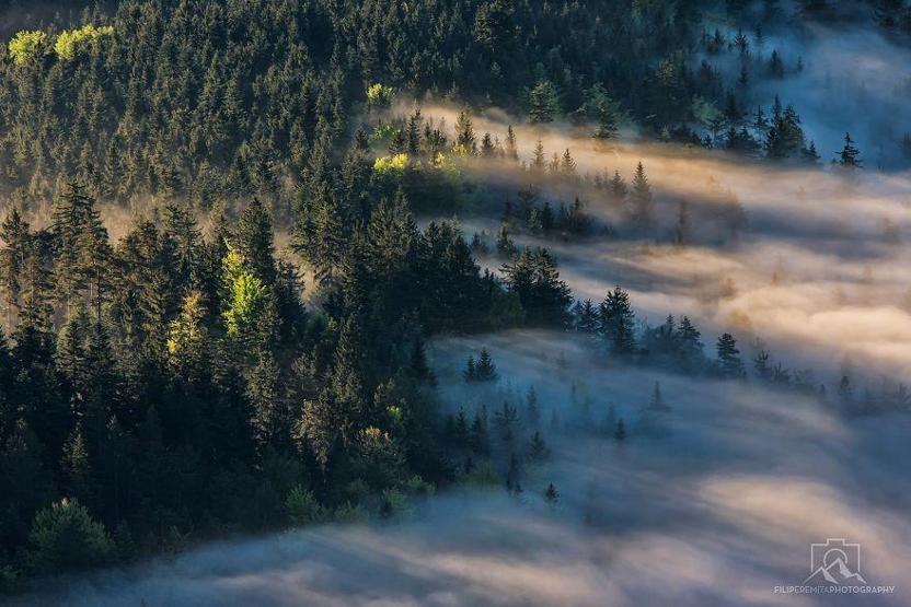 Güneşin bir başka vurduğu yer: Slovenya