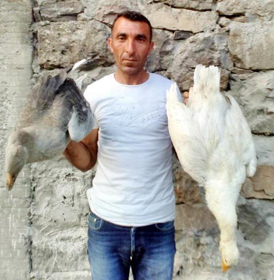 Erzurumda korkutan kaz ölümleri