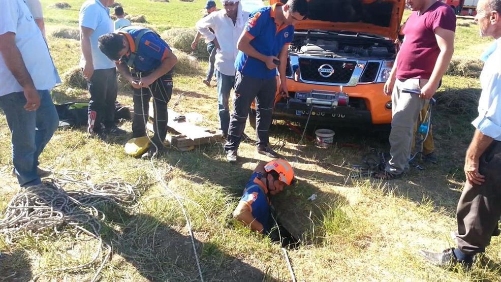 Tek başına mahsur kaldı, 8 yavrusuyla kurtarıldı