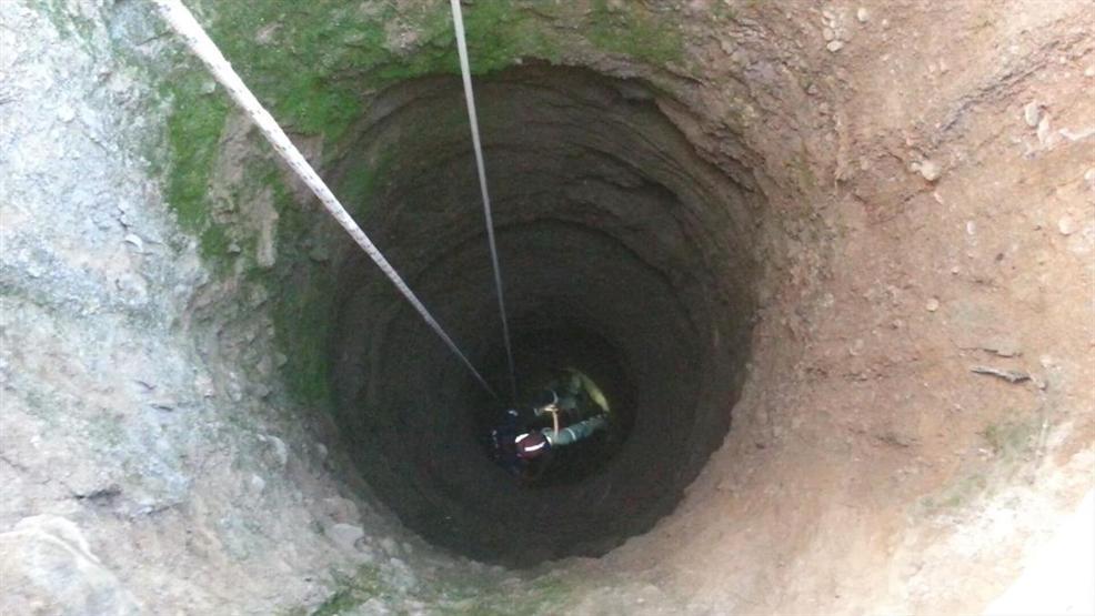 Tek başına mahsur kaldı, 8 yavrusuyla kurtarıldı