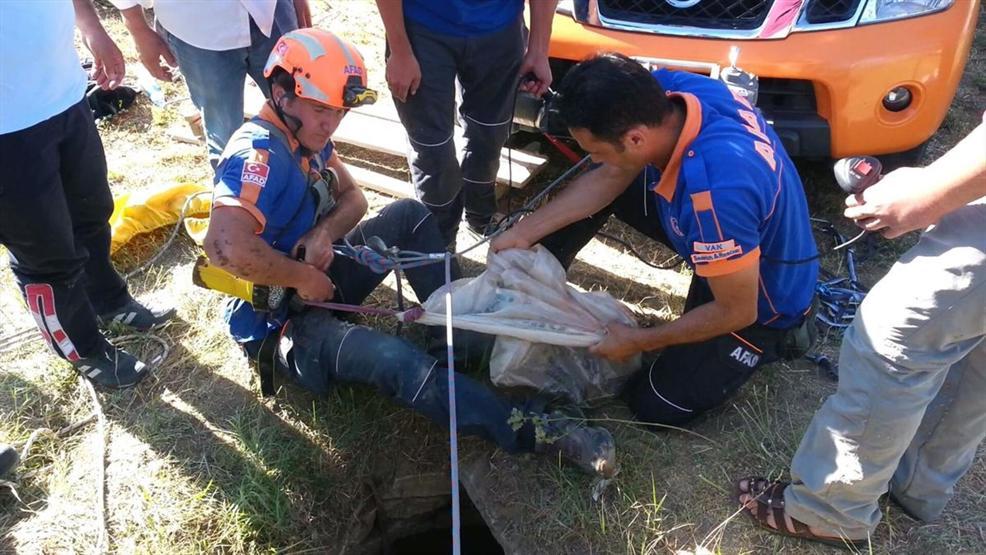 Tek başına mahsur kaldı, 8 yavrusuyla kurtarıldı