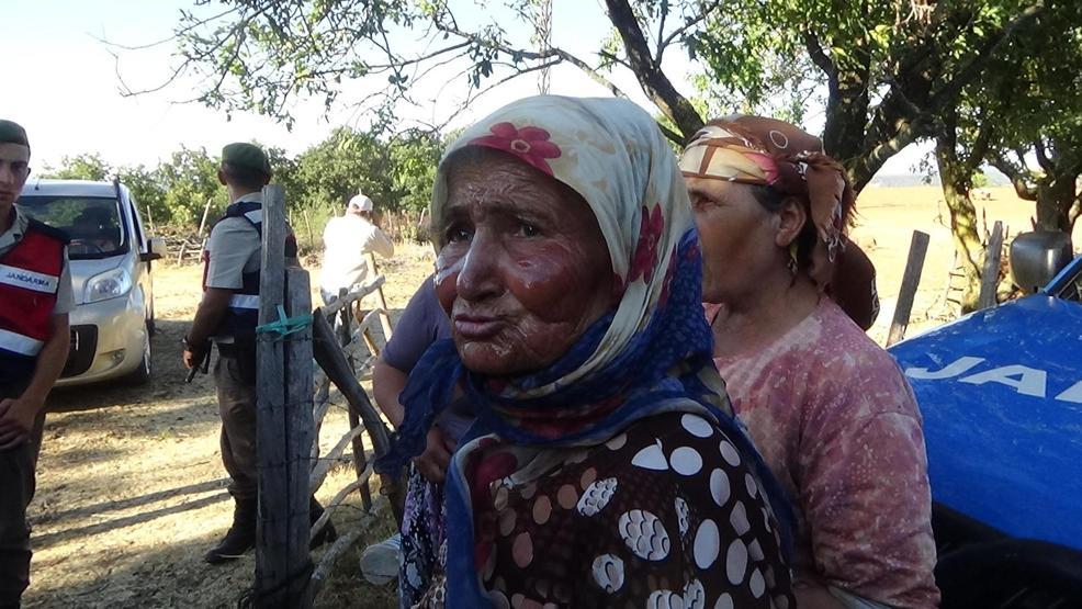 Tarım arazisinden çıkan yangın ormanı da yaktı