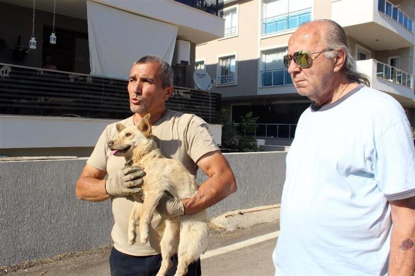 Çözümü 8 liralık aşı, ama bu hastalık öldürüyor